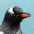Christopher Huhn's avatar