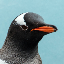 Christopher Huhn's avatar